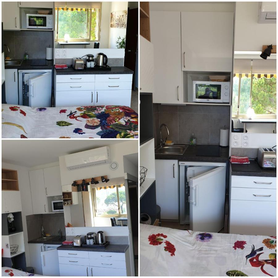 Garden And Beach Sea View Apartment Cannes Mandelieu Eksteriør bilde