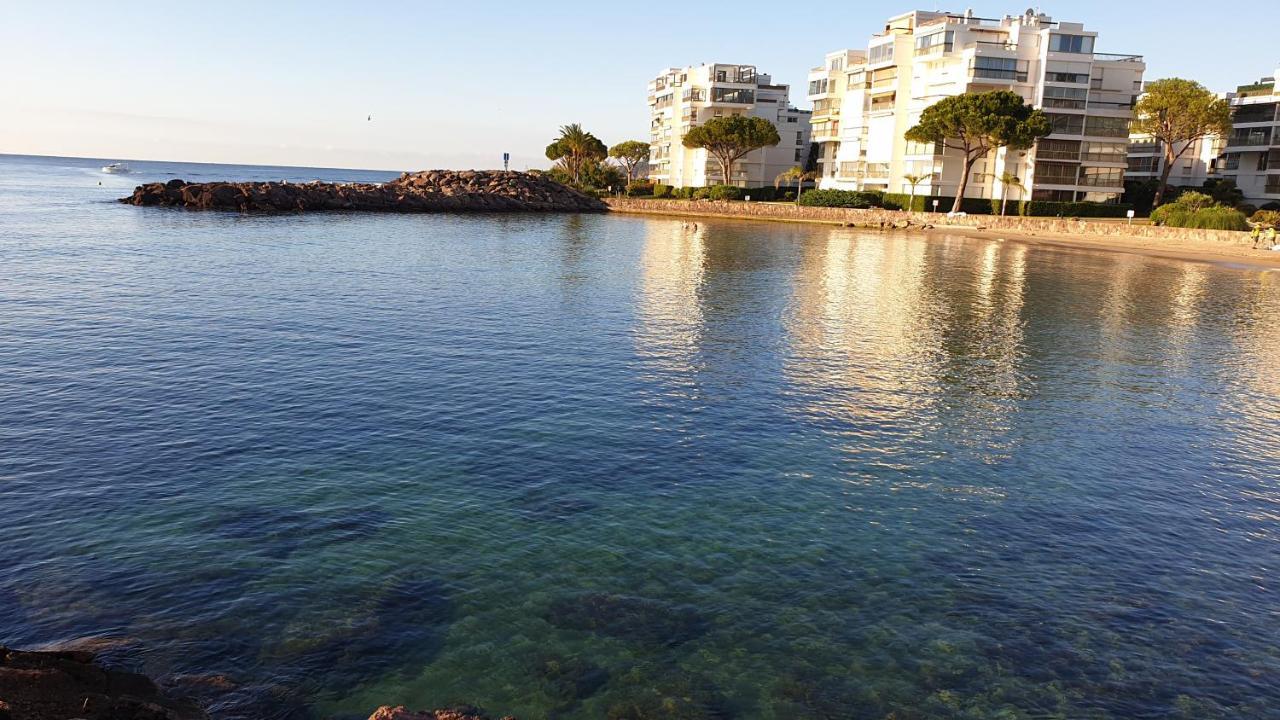 Garden And Beach Sea View Apartment Cannes Mandelieu Eksteriør bilde