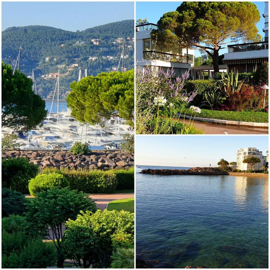 Garden And Beach Sea View Apartment Cannes Mandelieu Eksteriør bilde